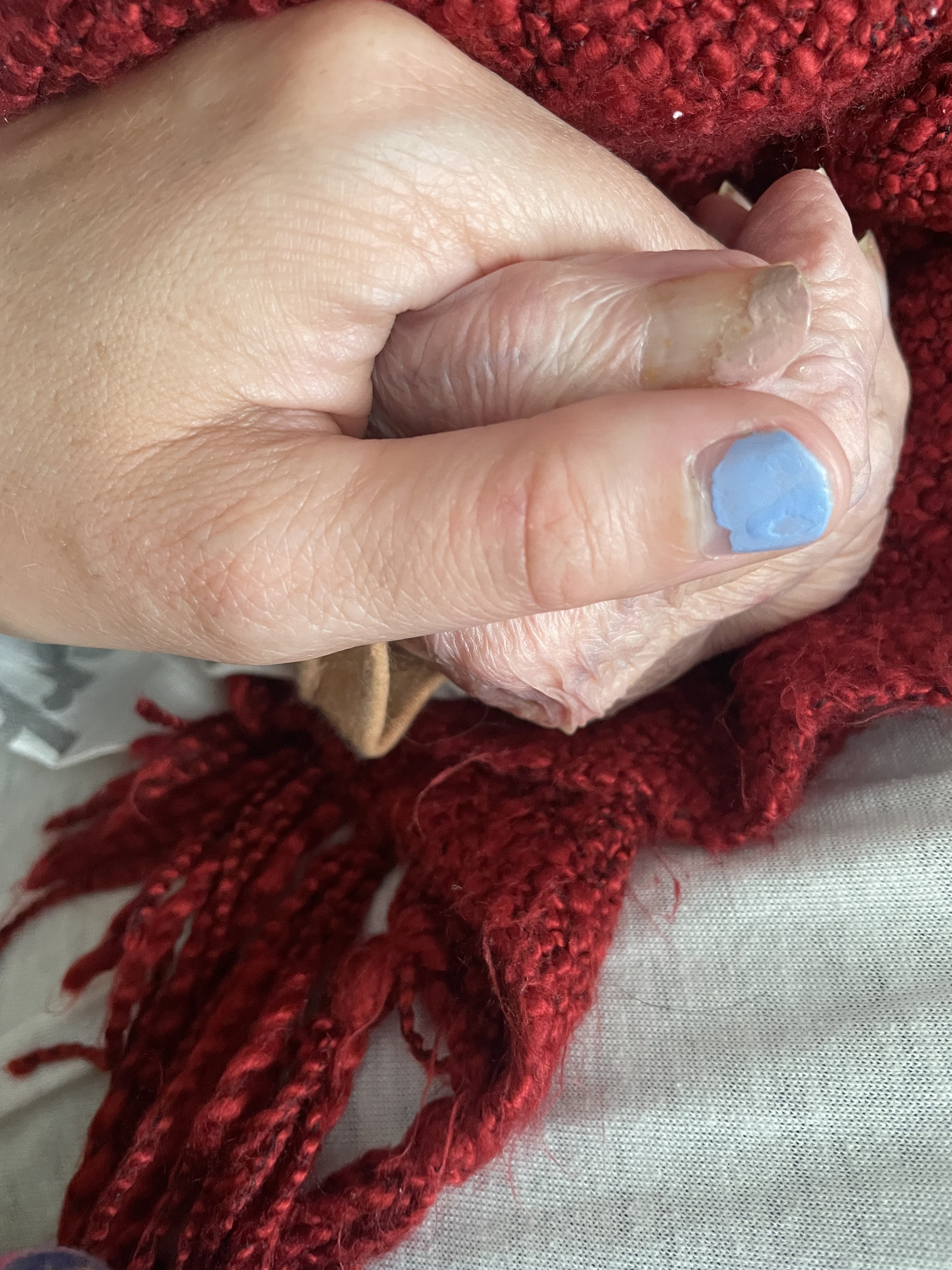 When You Lose a Grandparent…